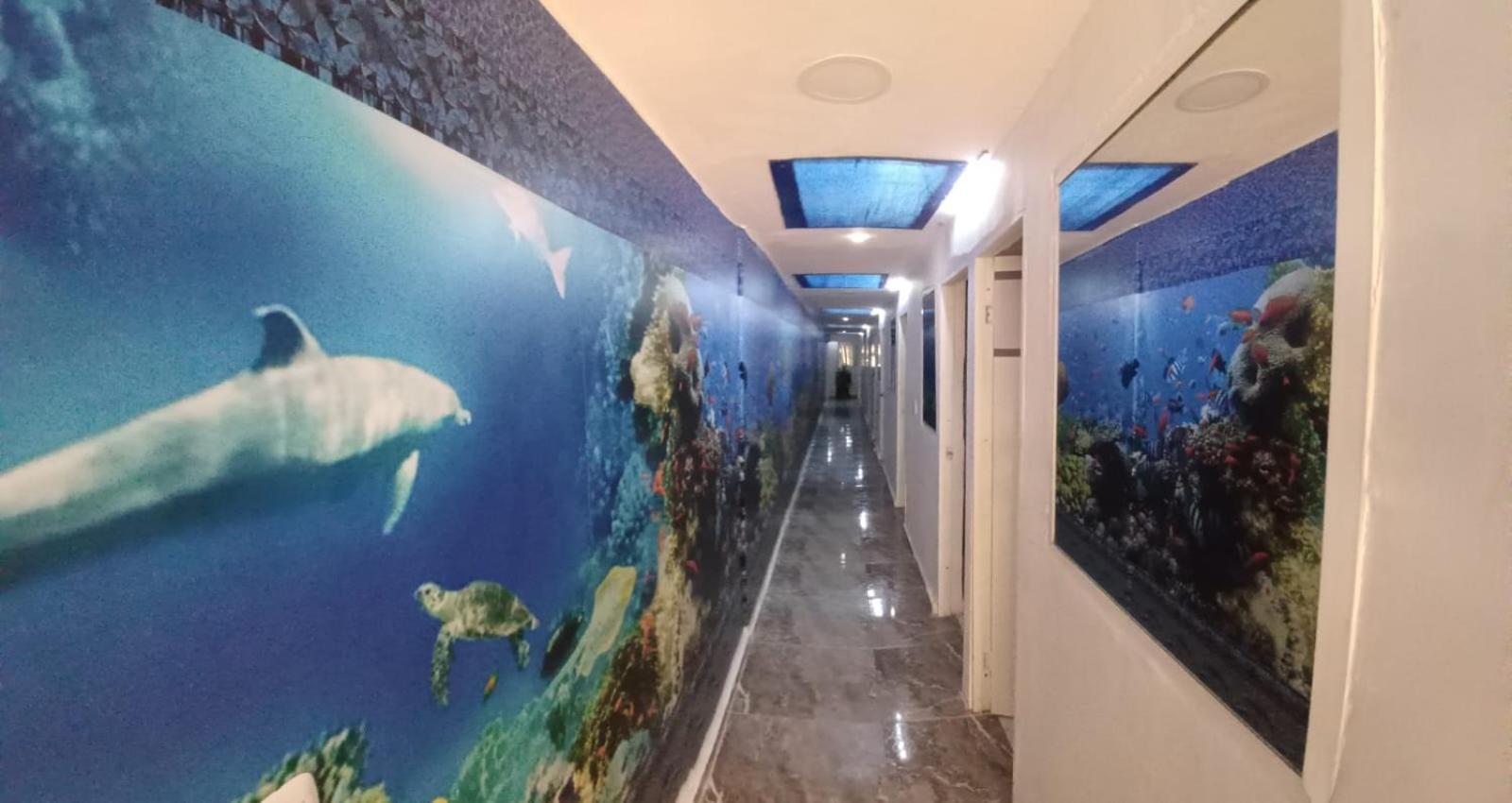 Hotel Dmauro Cartagena المظهر الخارجي الصورة