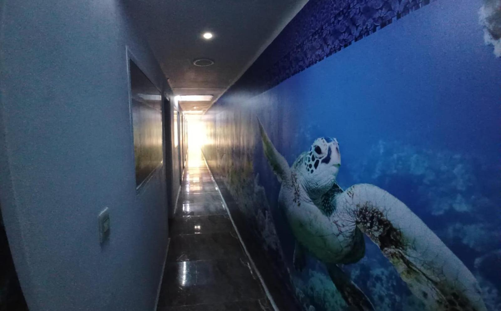 Hotel Dmauro Cartagena المظهر الخارجي الصورة